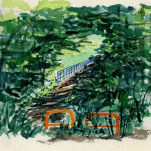 野村　緑のトンネル